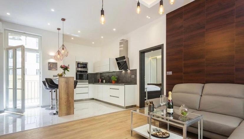 Luxury Apartment On Wenceslas Square 布拉格 外观 照片