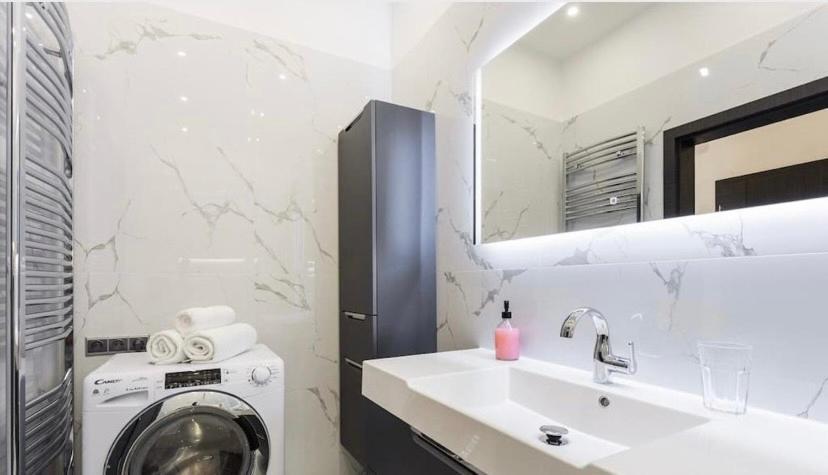 Luxury Apartment On Wenceslas Square 布拉格 外观 照片