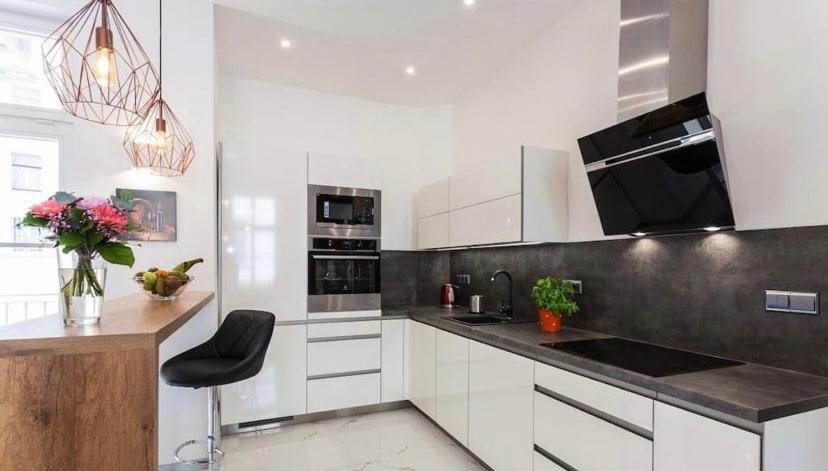 Luxury Apartment On Wenceslas Square 布拉格 外观 照片